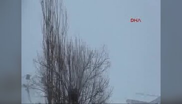 Yüksekova'da operasyonlar sürüyor