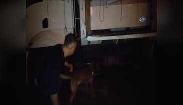 Bursa'da kamyonla taşınan iş makinesinden esrar çıktı