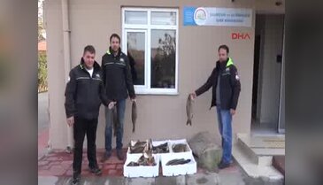Kaçak avlanan 100 kilo balığa el konuldu