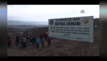 Bursa Mudanya'da yanan orman alanına 3 bin fidan