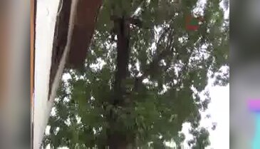 Mahalle sakinlerinin tepki gösterdiği Ensar Vakfı binası törenle açıldı