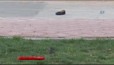 Gaziantep'te genç kadına ağabey kurşunu