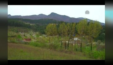 Arılar "bal mesaisi"ne başladı