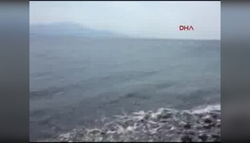 Ayvacık sahillerinde mülteci geçişleri sonrası temizlik