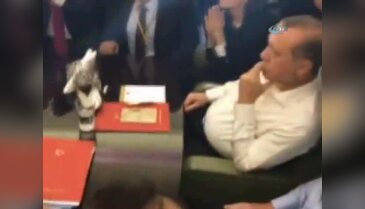 Erdoğan Hakan Çalhanoğlu'nun golüne böyle sevindi