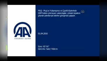 Telefonla konuşmak için yükseklere çıkıyorlar