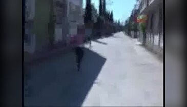 Adana'da torbacılardan çelik yelek ve Thomson otomatik silah çıktı