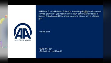 Sağlık Bakanı Müezzinoğlu'ndan, Şerife nineye teşekkür telefonu