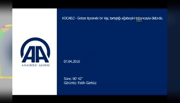 Tartıştığı ağabeyini tabancayla öldürdü