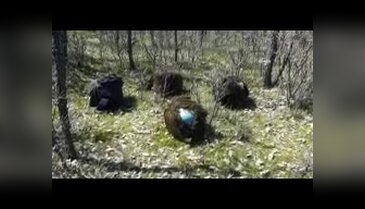 Silvan'da bulunan el yapımı patlayıcılar imha edildi