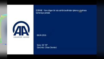 Ata eziyet vatandaşın cep telefonu kamerasına yansıdı