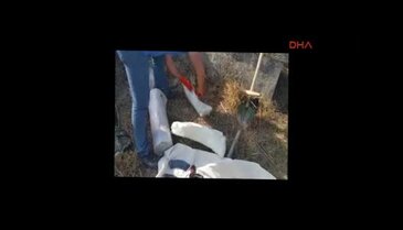 Adana'da polis ekibine katliam önlendi