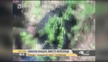 Bulgaristan'da sınırdaki "göçmen avı" böyle görüntülendi