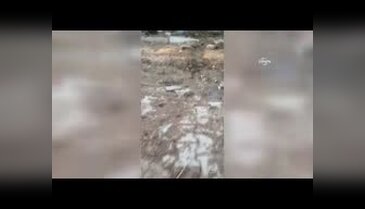 Van'da el yapımı patlayıcı etkisiz hale getirildi