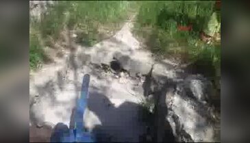 Su borusuna sıkışan köpek yavurusunu itfaiye kurtardı