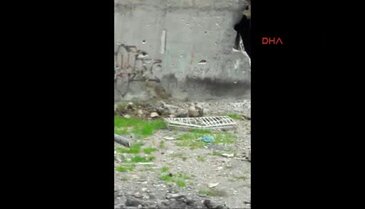 Nusaybin'de el yapımı patlayıcılar tespit edilerek imha edildi