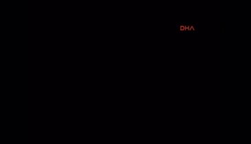 Diyarbakır'da şehitler anısına sur klibi