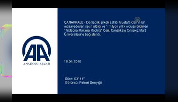 1 milyon yıllık fosil törenle ziyarete açıldı!