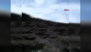 Ayı yavrularını çobanlar kurtardı