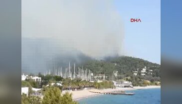 Bodrum'daki yangın kontrol altına alındı