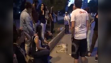 Köpeğe çarptı, yardım gelene kadar bekledi