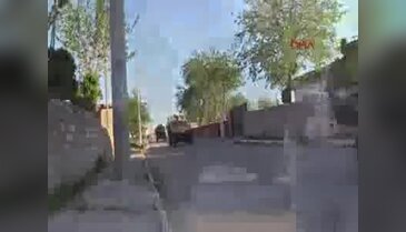 Diyarbakır Bismil'de güvenlik güçlerinin düzenlediği operasyonda 11 PKK'lı yakalandı