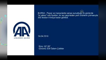 Bursa'da eriğin kilosu 350 liradan 8 liraya düştü