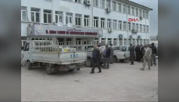Elazığ'da kaçak avlanan 6 ton balık ele geçirildi