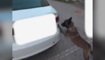 Otomobilden 12 kilo 575 gram esrar çıktı