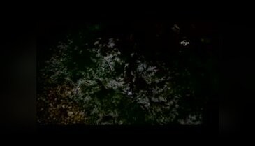 Gece yağan dolu cadde ve sokakları beyaza bürüdü