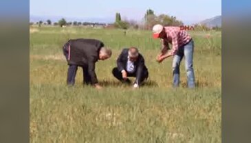 Burdur'da hububata kuraklık darbesi