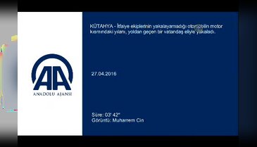 Otomobilin kaput kısmına giren yılanı kurtarma operasyonu
