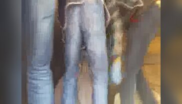 Elazığ'da 45 kilo eroin ele geçirildi