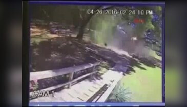 Düşen uçaktan sadece elindeki çizikle kurtuldu