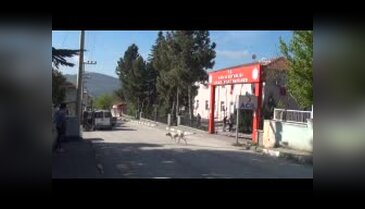 Şehit Uyanık'ın cenazesi memleketine getirildi