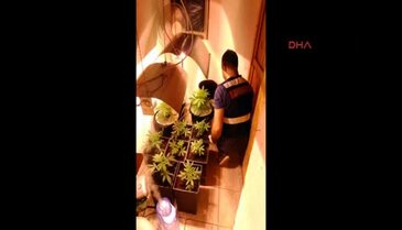 Villada hintkeneviri ile esrar ele geçirildi