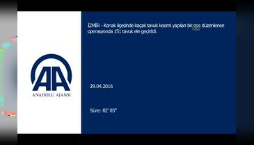 "Kaçak tavuk kesimi" operasyonu