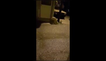 Bursa sağanak ve dolu yağışına teslim oldu!