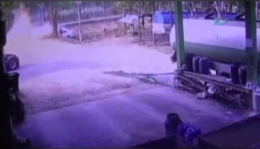 Yoldan çıkan araç ağaca uçtu