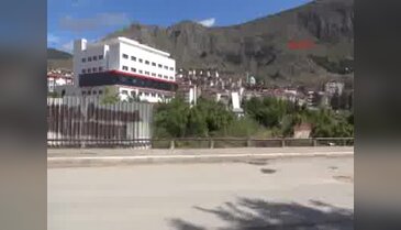 Amasya'nın 'Yeşil Nöbeti'nde aleyhte karar çıktı; 90 ağaç kesildi