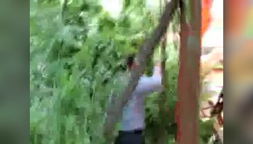 Rüzgar ağaçları uçurdu, yuvadaki kuşlar yaralandı