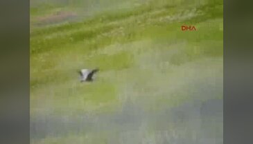Burdur Gölü kıyı yönetimi çalıştayı