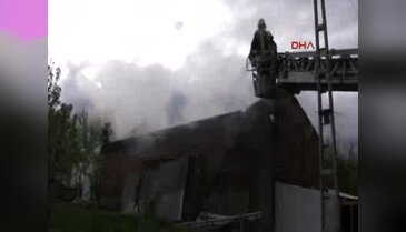 Ahır yangınından geriye sadece 'Sarıkız' kaldı