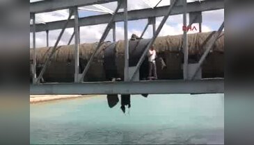 Şanlıurfa'da intihata kalkışan oğlunu ben de atlarım diyerek ikna etti