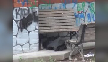 Kayseri'de şüpheli çanta paniği