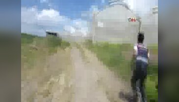 Diyarbakır'daki bir serada ekili kenevir ele geçirildi