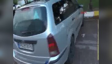 Beline sardığı güneş gözlükleriyle yakalandı