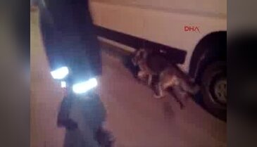 Kayseri'de uyuşturucu operasyonu