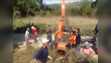 Tarihi Gelibolu Yarımadası'nda diri örtü temizliği