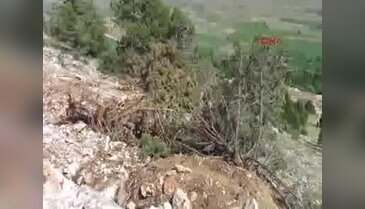 Köylülerden ağaç kesimine tepki